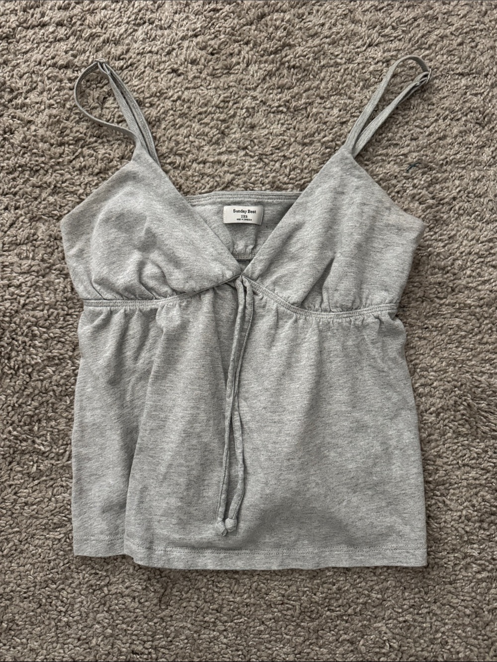 Aritzia Sunday Best Cottonwhisk Loulou Camisole